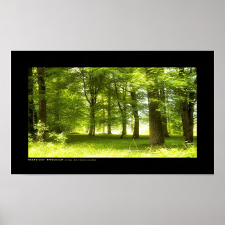 シルバーウッド ポスター