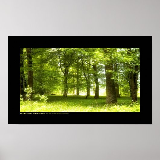 シルバーウッド ポスター (正面)