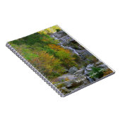 シルバーカスケーズスパイラルノート ノートブック (右側)