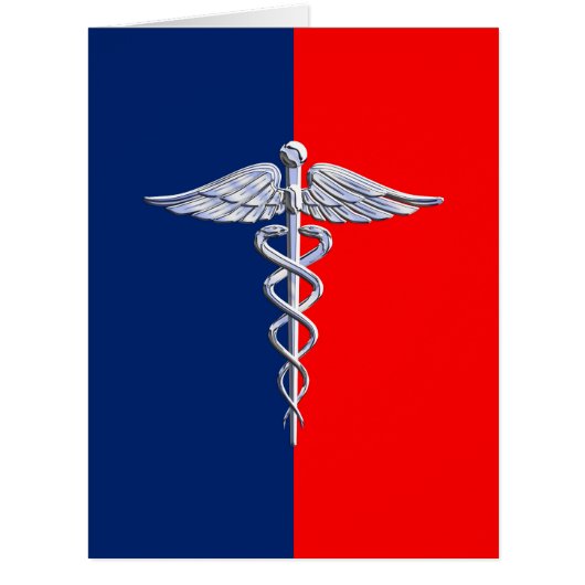 シルバーカドゥセウス医科大学 (正面)