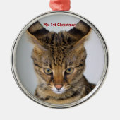 シルバーキャットマイ初めてのクリスマス写真オーナメント メタルオーナメント (正面)