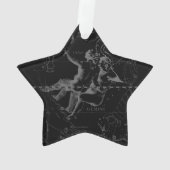 シルバークロームのようなジェミニ〔占星術の〕十二宮図サインオンヘベリウス オーナメント (裏面)