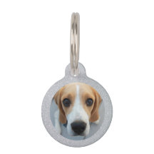 シルバーグリッターペット犬のオーナーカスタムの写真