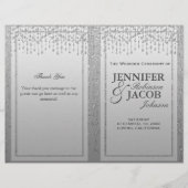 シルバーグリッター (正面)