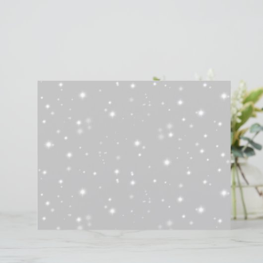 シルバーグレースターライト (スタンド正面)