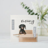 シルバーグレー我々はDachshund Dog in Box Cardを移動している サンキューカード (スタンド正面)