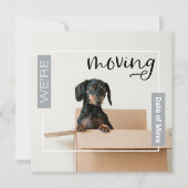 シルバーグレー我々はDachshund Dog in Box Cardを移動している サンキューカード (正面)