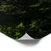 シルバーゲートモンタナ ポスター (角)