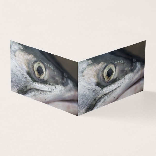 シルバーサーモン顔 (外部)