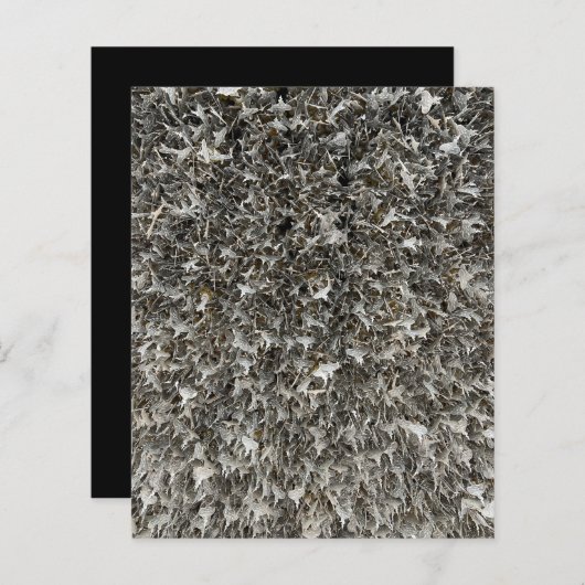 シルバーシャギーラベルスクラップブック紙 (正面/裏面)