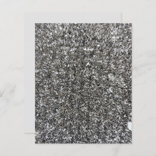 シルバーシャギー小ラベルスクラップブック紙 (正面/裏面)