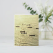 シルバーシルクビクトリアレイクケニア ポストカード (スタンド正面)