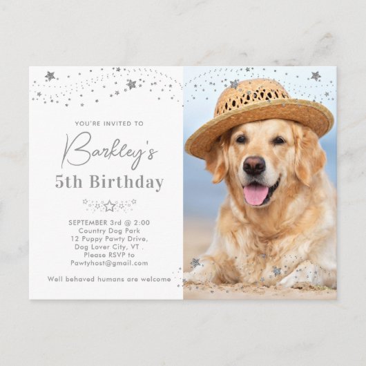 シルバースターズパーソナライズされたペットフォトドッグ誕生日 インビテーションポストカード (正面)