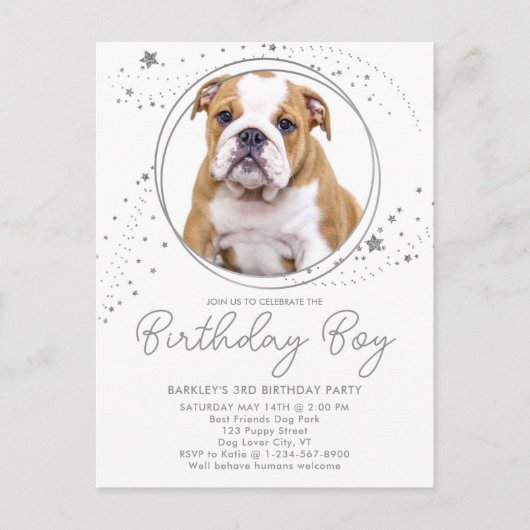 シルバースターズパーソナライズされたペットフォトドッグ誕生日 インビテーションポストカード (正面)
