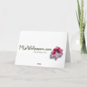 シルバースターマーブルポインセティアスクリスマスカード シーズンカード (裏面)