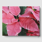 シルバースターマーブルポインセティアスピンクホリデイフローラ ゲストブック (裏面)