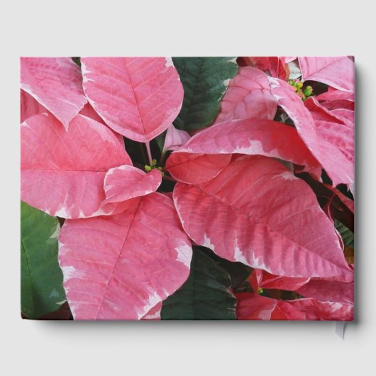 シルバースターマーブルポインセティアスピンクホリデイフローラ ゲストブック (裏面)