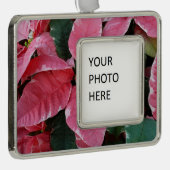シルバースターマーブルポインセティアスピンクホリデイフローラ シルバープレートフレームオーナメント (右)