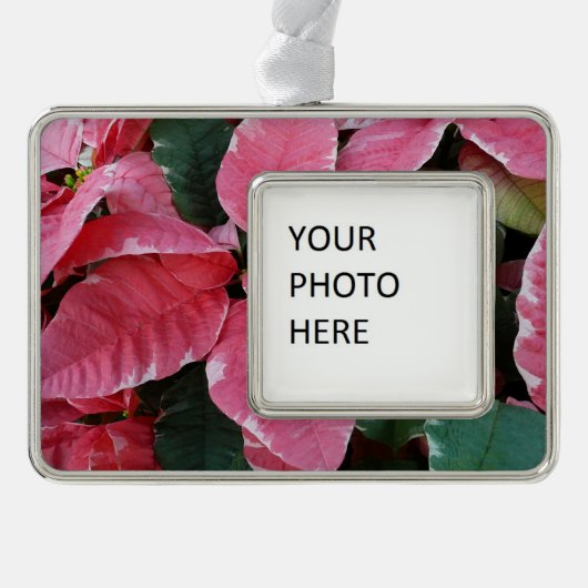 シルバースターマーブルポインセティアスピンクホリデイフローラ シルバープレートフレームオーナメント (正面)