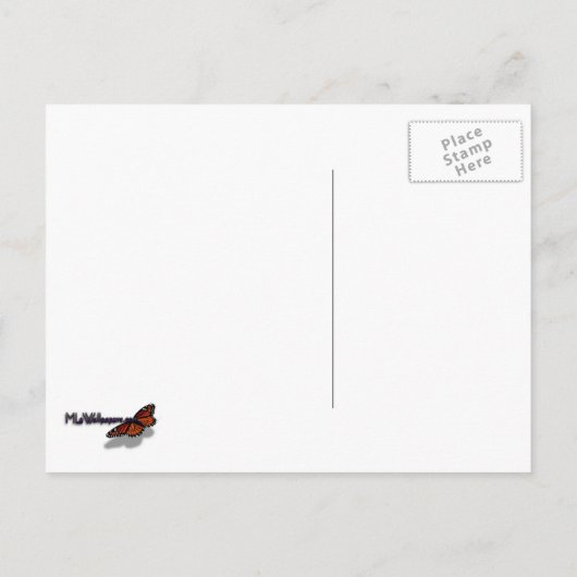 シルバースターマーブルポインセティアスピンクホリデイフローラ シーズンポストカード (裏面)