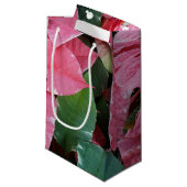 シルバースターマーブルポインセティアスピンクホリデイフローラ スモールペーパーバッグ (正面アングル)