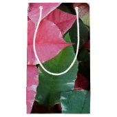 シルバースターマーブルポインセティアスピンクホリデイフローラ スモールペーパーバッグ (正面)