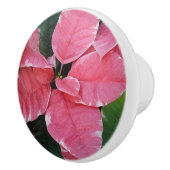 シルバースターマーブルポインセティアスピンクホリデイフローラ セラミックノブ (右)