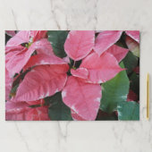 シルバースターマーブルポインセティアスピンクホリデイフローラ ペーパーパッド (インサイチュ)