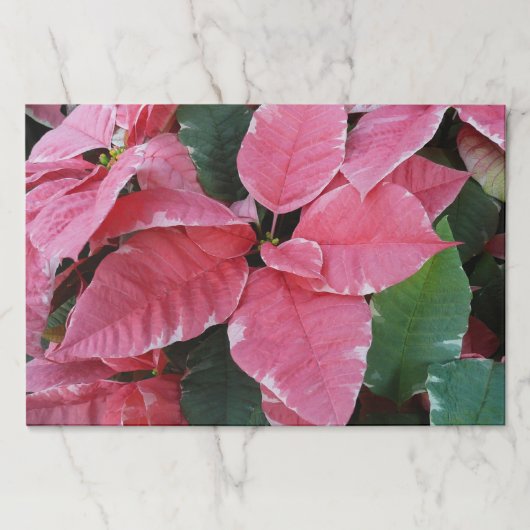 シルバースターマーブルポインセティアスピンクホリデイフローラ ペーパーパッド (正面)