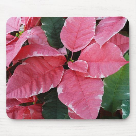シルバースターマーブルポインセティアスピンクホリデイフローラ マウスパッド (正面)