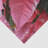 シルバースターマーブルポインセティアスピンクホリデイフローラ 薄葉紙 (詳細)