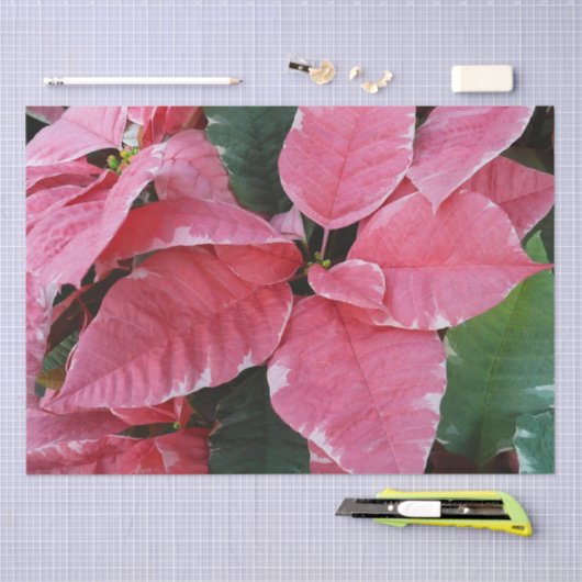 シルバースターマーブルポインセティアスピンクホリデイフローラ 薄葉紙 (クラフト)