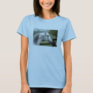 シルバーストーンShamal Tシャツ