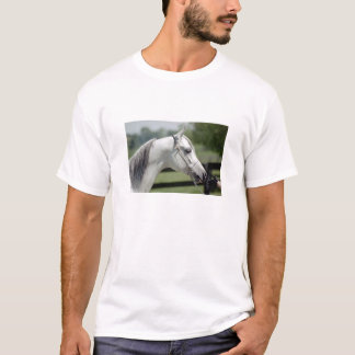 シルバーストーンShamal Tシャツ