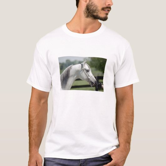 シルバーストーンShamal Tシャツ (正面)