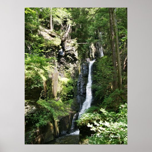 シルバースレッド秋 ポスター (正面)