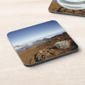 シルバーソードオンハレアカラクレーターリム近くから コースター (左側)