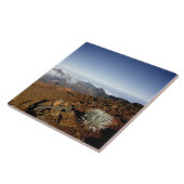 シルバーソードオンハレアカラクレーターリム近くから タイル (側面)