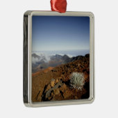 シルバーソードオンハレアカラクレーターリム近くから メタルオーナメント (右)