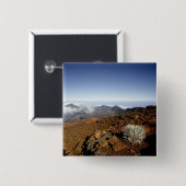 シルバーソードオンハレアカラクレーターリム近くから 缶バッジ (正面&裏面)