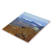 シルバーソードオンハレアカラクレーターリム2近く タイル (側面)