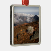 シルバーソードオンハレアカラクレーターリム3近く メタルオーナメント (右)