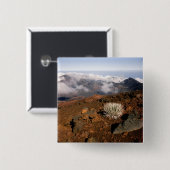 シルバーソードオンハレアカラクレーターリム3近く 缶バッジ (正面&裏面)