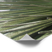 シルバーソードランドスケープ ポスター (角)