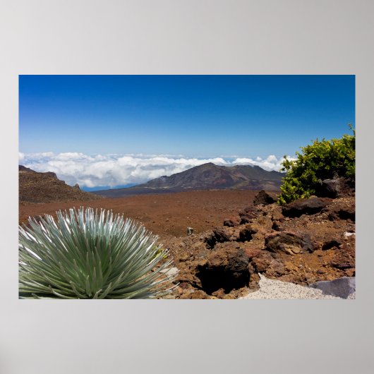 シルバーソードランドスケープ ポスター (正面)