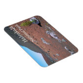 シルバーソード、砂丘、ハレアカラ国立公園 マグネット (右側)