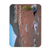 シルバーソード、砂丘、ハレアカラ国立公園 マグネット (縦)