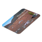 シルバーソード、砂丘、ハレアカラ国立公園 マグネット (左側)