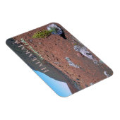 シルバーソード、砂丘、ハレアカラ国立公園 マグネット (右側)