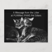 シルバータビーキャッツペットシッター配布事業 ポストカード (正面)